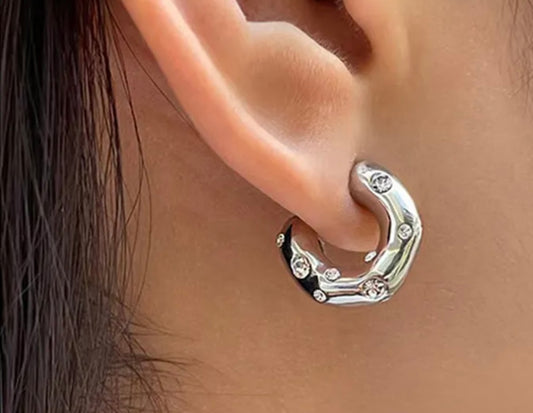 HP Stainless Steel Stud Earrings