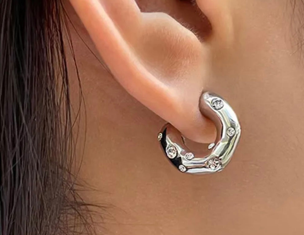 HP Stainless Steel Stud Earrings