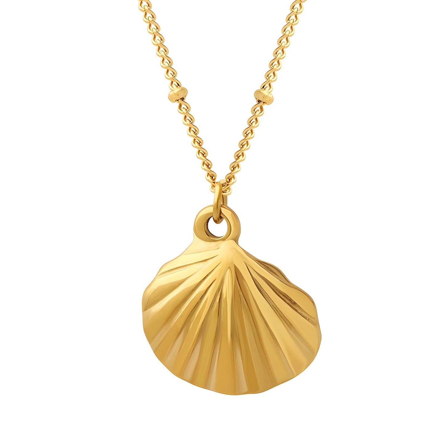 18K Gold Plated Stainless Steel, Seashell necklace, Intensity